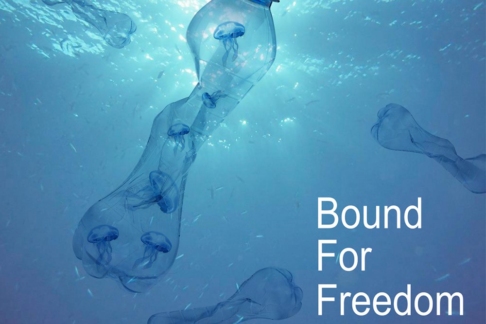 磁铁包装管沉默了微塑料进入海鲜体内耗氧量增加