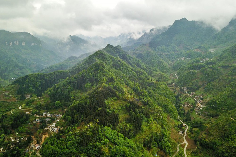 淄博tube管看无人机用上我国新技术成功穿越树林复杂环境